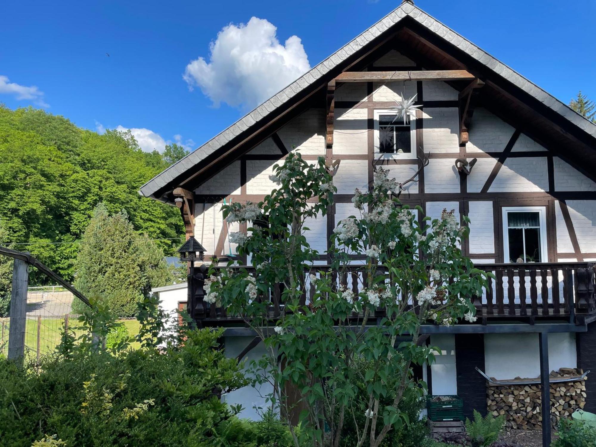 Holla Die Waldfee Konigerode 外观 照片